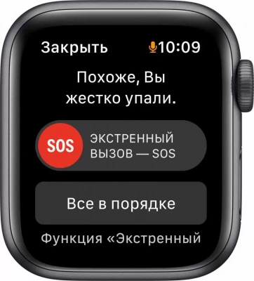 Часы Apple Watch SE GPS, 40mm «серый космос»