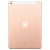 Планшет iPad 10.2 32Gb Wi-Fi (MW762RU/A) Gold